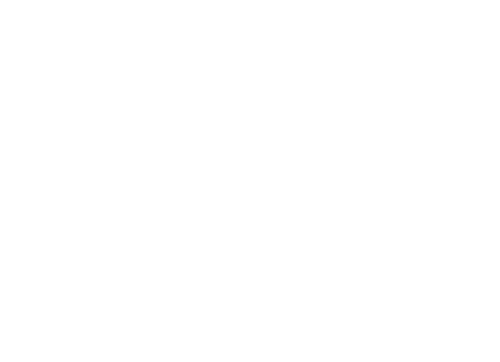 DR. MERAL ARISAL DR. MERAL ARISAL