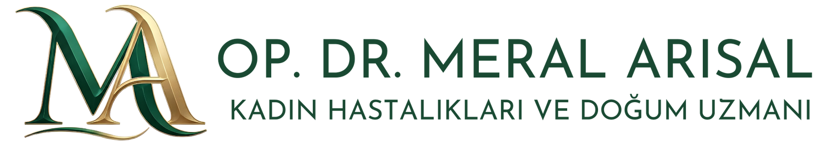 DR. MERAL ARISAL DR. MERAL ARISAL